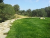 trou6