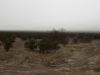 DSCN2142
