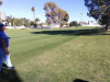 T15GREEN