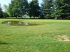 t6green