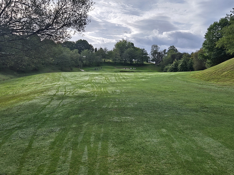 T10GREEN