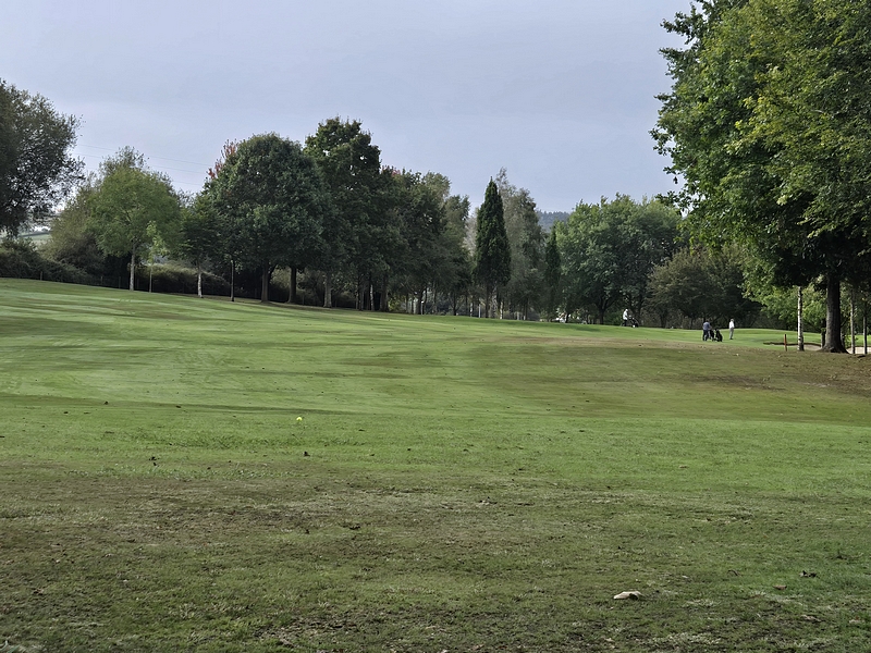 T12GREEN
