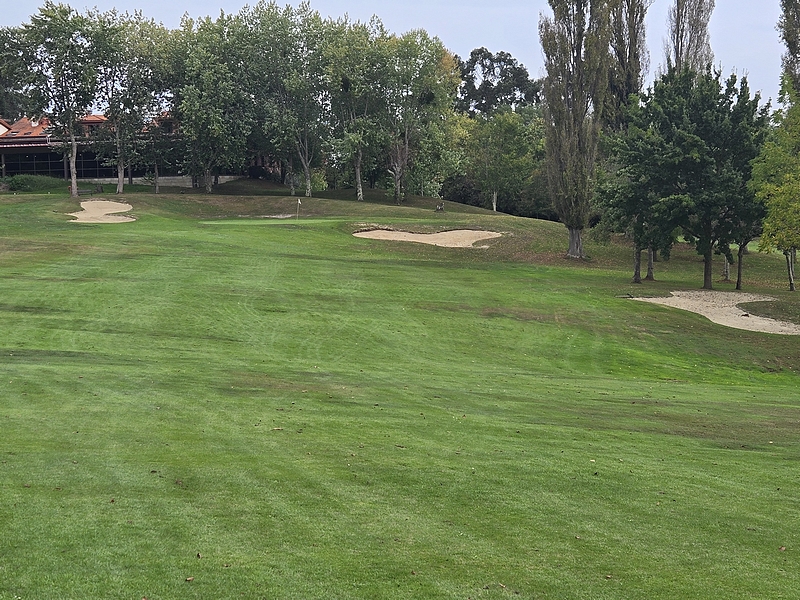 T14GREEN