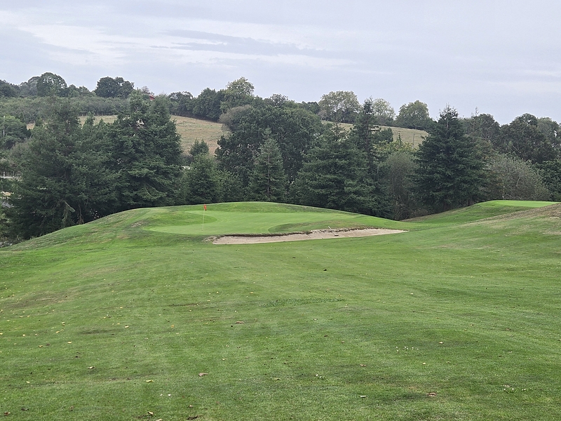 T15GREEN
