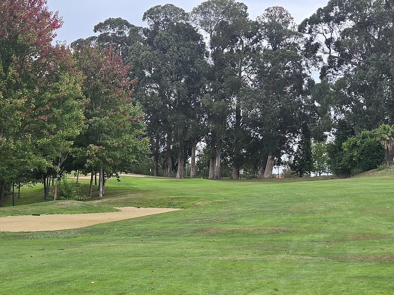 T18GREEN
