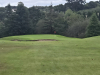 T17GREEN