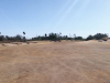 T1GREEN