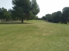 trou11green