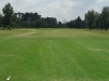 t11