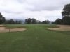 T13GREEN
