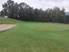 T1GREEN