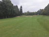 T4GREEN