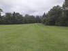 T7GREEN
