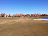 T13GREEN