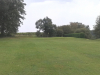 8green