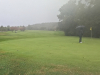 9green