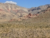 DSCN4532