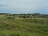 Montana