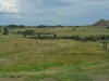 Montana1