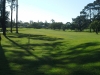 t11