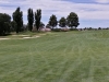 t13green