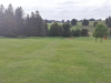 T16GREEN