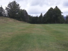 T4GREEN