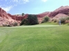 t6green