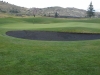 t2green