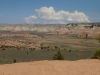 DSCN5365