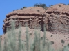 DSCN5368