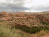 DSCN5396