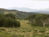 DSCN5402