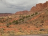 DSCN5406