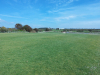 t13green