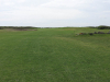 t3green