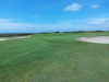 t4green