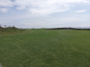 t5green