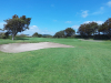 t7green