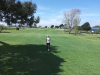 t9green