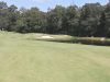 T11GREEN