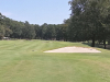 T18GREEN