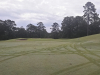 T3GREEN