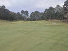 T5GREEN