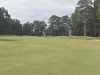 T6GREEN