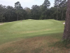 T8GREEN