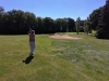 t6green