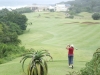 t15pic3