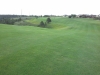 t14suite