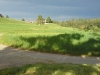 t18
